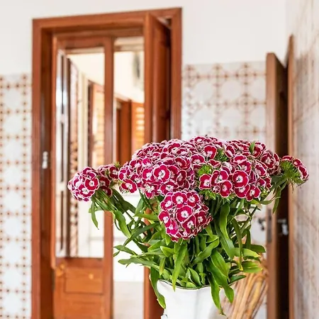 Aida - Salento Reservation *